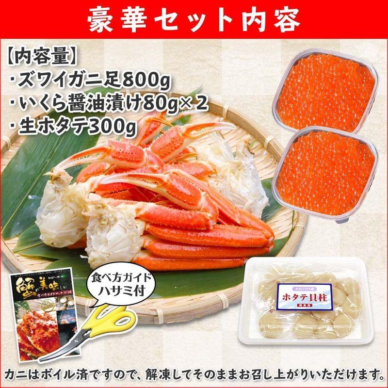 カニ ボイル かに 蟹 ズワイガニ 足 800g前後 ＆ いくら 醤油漬け 80g 2個 ＆ ホタテ 玉冷 貝柱 300g ハサミ 北国から