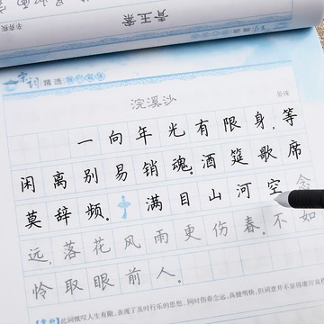 字帖練字成年練字帖大學生成人楷書行楷正楷荊霄鵬行書王正良男生女生字體漂亮大氣高中鋼筆硬筆書法神器墨點楷體手寫臨摹貼練字本