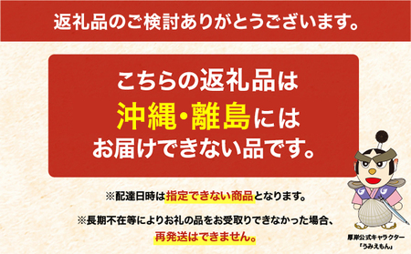 先行予約 季節限定 北海道 厚岸産 浜茹で 北海しまえび（中サイズ）500g×1パック