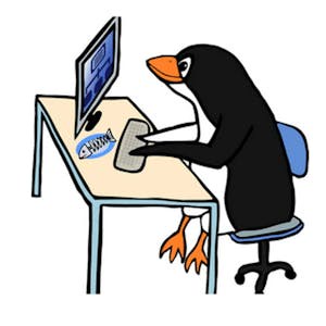 Web Development in Flask: Build Your First Website