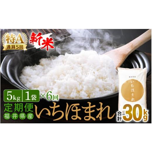 ふるさと納税 福井県 越前町 定期便 ≪6ヶ月連続お届け≫ いちほまれ 5kg × 6回（計30kg）特A通算5回！令和5年 福井県産 [e27…