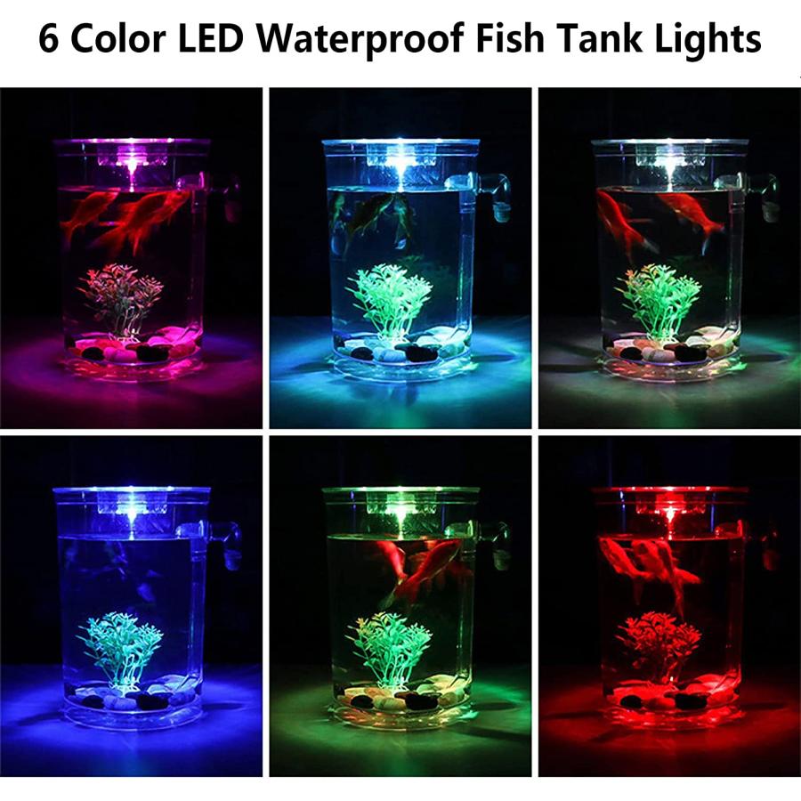  Small Fish Tank 2 Gallon Glass Aquarium Starter Kits Self  Cleaning w/Colorful LED Light for Betta Shrimp Guppy Jellyfish Goldfish  Beta,Room Decor Desktop, Gifts : Pet Supplies