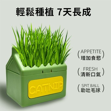 【AOYI奧藝】台灣現貨（免運）水培貓草盒(買貓草盒送小麥種子)｜全新上市 免培養土 貓草水培種植 ｜排毛