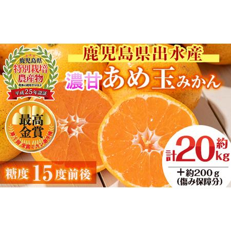 ふるさと納税 i573 ＜2023年11月上旬〜2024年1月下旬の間に発送＞温州みかん日本一！濃甘あめ玉みかん(計約20kg・1.. 鹿児島県出水市