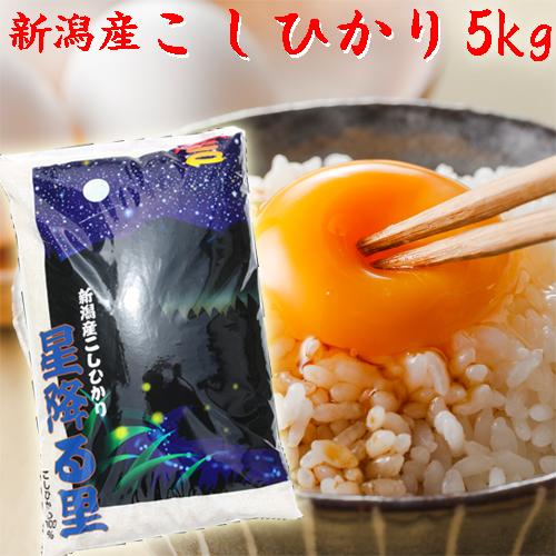 新米 令和5年 新潟県産 コシヒカリ 5kg 新潟産 こしひかり 5kg 新潟県産 白米 分づき 新潟県産コシヒカリ ５キロ 妙高