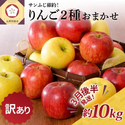 ふるさと納税 五所川原市 りんご約10kgサンふじ確約青森産品種おまかせ2種以上