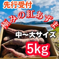 栽培期間中、農薬・化学肥料不使用　ホクホク甘～い『極みノの紅あずま』5kg(中～大サイズ)