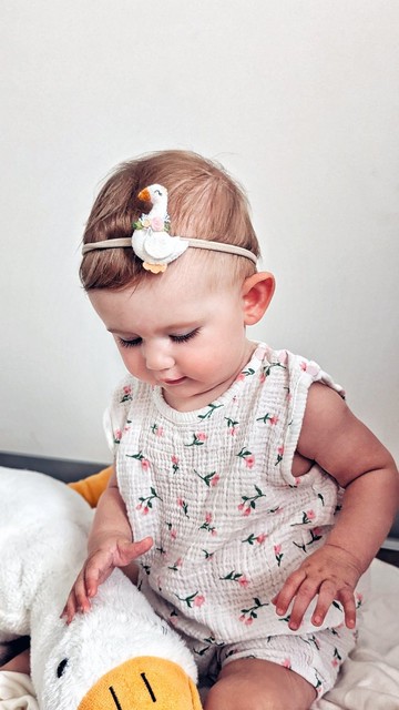 鵝頭帶 鵝髮飾 山寨核心髮夾