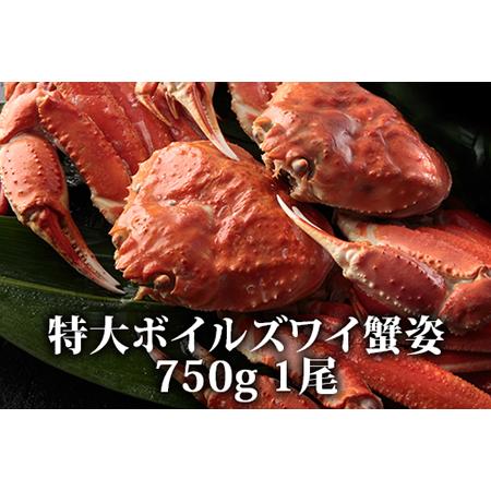 ふるさと納税 蟹味噌！垂涎の的！特大ボイルズワイ蟹姿 750g 1尾 [1616] 大阪府泉大津市