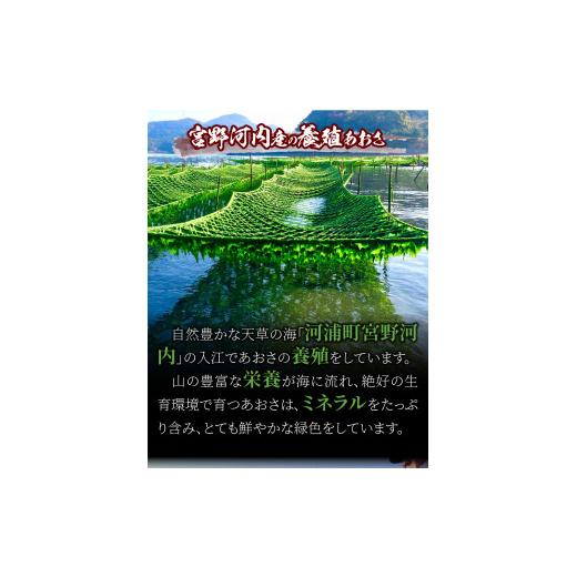 ふるさと納税 熊本県 天草市 S100-001_天草特産乾燥あおさ25g　6個セット