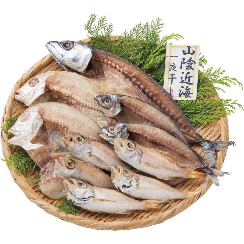 山陰海鮮一夜干しセット 日本産 魚介類 海産物 魚介惣菜 食品セット まとめ買い おしゃれ ギフト プレゼント 調理 お取り寄せ 健康食品