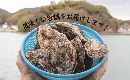  ハマミツ海産　生牡蠣むき身（加熱調理用）