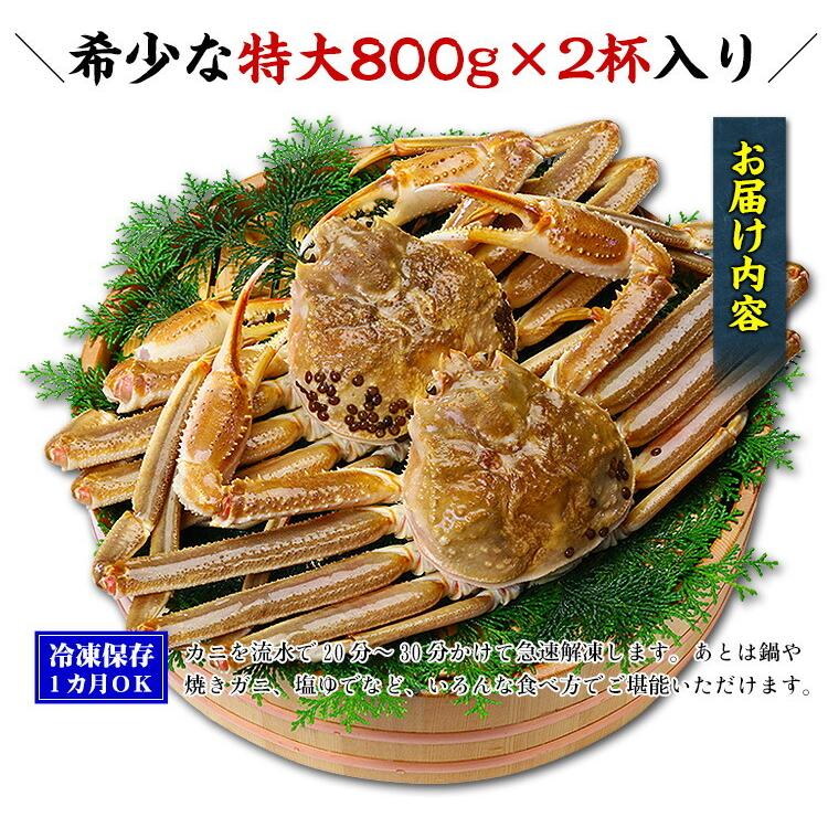 かに カニ 蟹 超特大サイズ 生ずわいがに姿800g前後×2尾入ギフト プレゼント 贈り物 ギフト ズワイガニ  FF