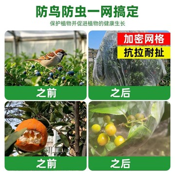 臺灣出🔥藍莓專用套袋 透氣透光 防蟲網罩 園藝種植 防鳥網袋 重複使用 防鳥網袋