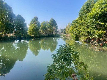 專任豐勢都計內湧泉吉地｜台中市東勢區新互助段