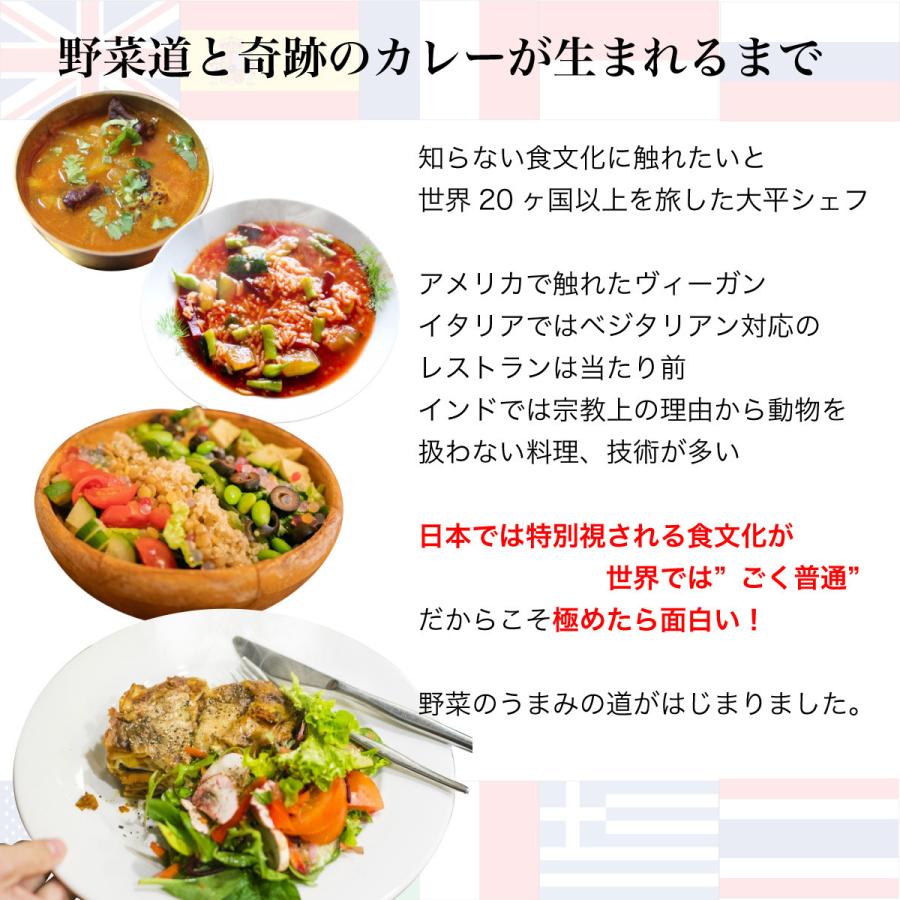 高級 ココナッツカレー 180×2パック│グルテンフリー ベジタリアン対応 ヴィーガン対応 プレゼント ギフト 内祝い 無添加 レトルトカレー カレー 野菜