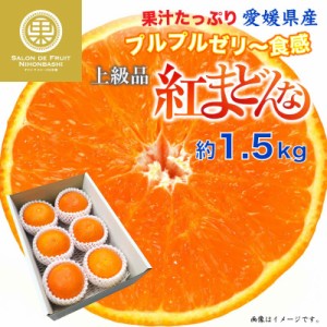 [予約 12月31日必着] 紅まどんな 約1.5kg 愛媛県 化粧箱 冬ギフト お歳暮 御歳暮 大晦日必着