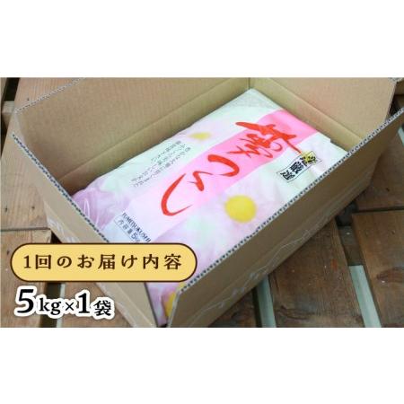 ふるさと納税 糸島産 夢つくし 5kg × 3回　糸島市   三島商店  米 お米 ご飯 白米 夢つくし ゆめつくし 九州 福岡 5キロ [A.. 福岡県糸島市