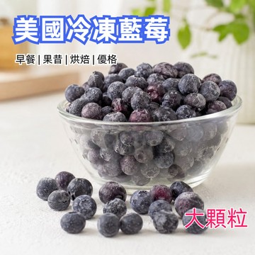 台瑞格冷凍栽種藍莓1kg 美國冷凍藍莓 大顆粒 可做早餐 烘焙 果昔 SGS檢驗合格 冷凍食品 799元冷凍超取免運