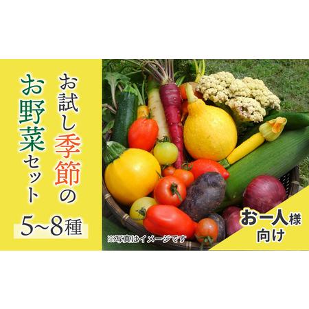 ふるさと納税 お一人様向け、お試し季節のお野菜セット 長野県東御市