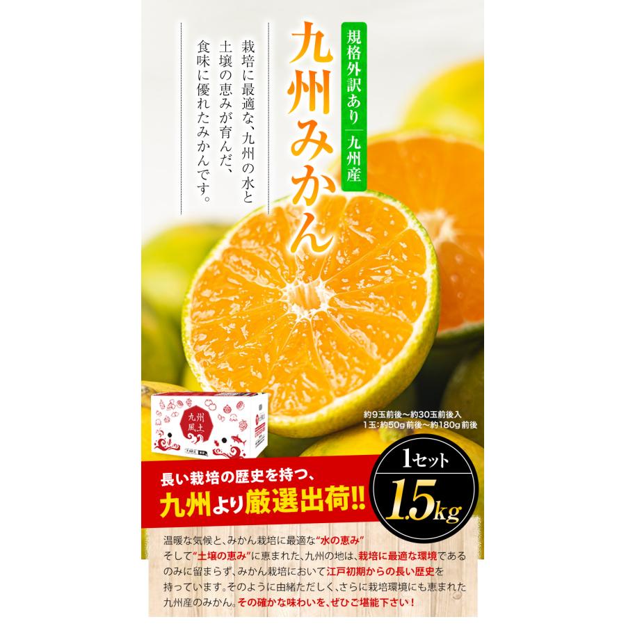 みかん 訳あり 送料無料 2セット購入で1セットおまけ 1セット1.5kg入 お取り寄せフルーツ 柑橘類 ミカン わけあり 九州産 7-14営業日以内に出荷予定