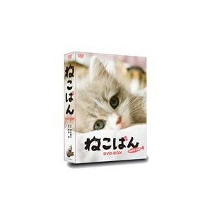 連続テレビドラマ ねこばん DVD-BOX