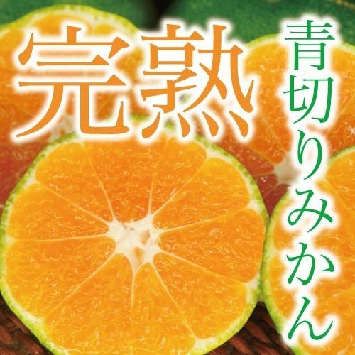 訳あり 極早生温州みかん 約５ｋｇ 沖縄県産