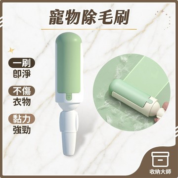 台灣現貨  寵物除毛刷 雙面刷毛器 靜電除毛刷 寵物粘毛刷 除毛刷 除毛器 粘毛器 寵物黏毛器 衣物除塵刷 收納大師