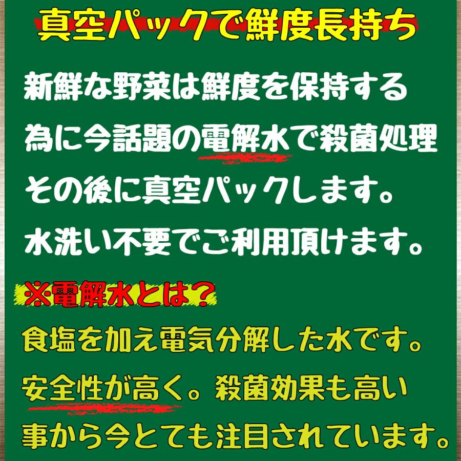 時短食材 野菜セット 9品　 カット野菜  通販 野菜セット 野菜詰め合わせ 時短野菜 九州　