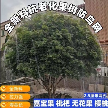 🔥臺灣出貨🔥果樹罩 新款尼龍果樹防鳥罩 櫻桃藍莓果園防護網 菜地陽臺耐用尼龍防鳥罩 透氣透光加厚 防鳥果樹網罩