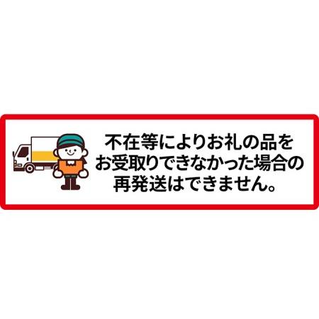 ふるさと納税 先行予約 2024年9月発送 北海道 仁木町産 いちご「 天使のいちご (登録商標)AE(エンジェルエイト)」(M30粒) 今野農園 北海道仁木町