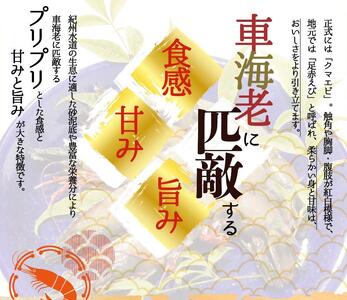 紀州和歌山産天然足赤えび540g（270g×2パック）　化粧箱入