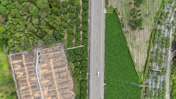 (專約)屏東高樹漂亮面寬臨路230坪農地｜屏東縣高樹鄉公園段
