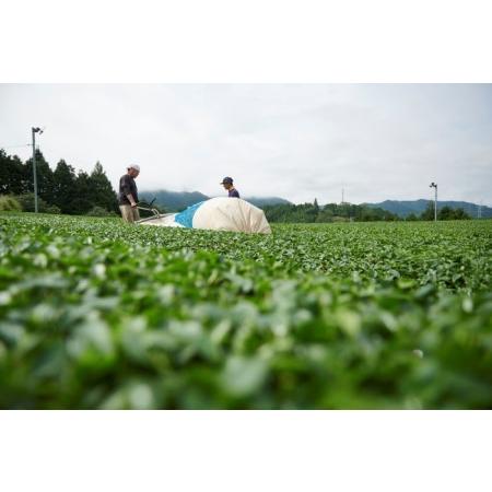 ふるさと納税 緑茶発祥の地からお届け「宇治田原紅茶」50g×5袋 京都府宇治田原町