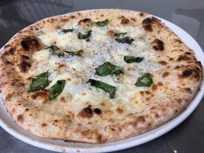 ピザ 本格 石窯焼き こだわり Pizza しらす ビアンカ