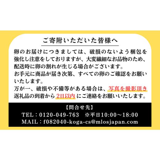 ふるさと納税 茨城県 古河市 AG13_江原ファーム　体に優しい地養卵（30個）※着日指定不可