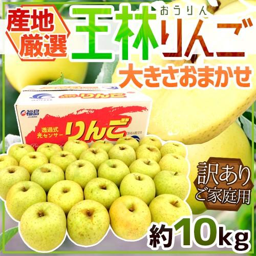 りんご ”王林りんご” 訳あり 約10kg 大きさおまかせ 産地厳選 送料無料