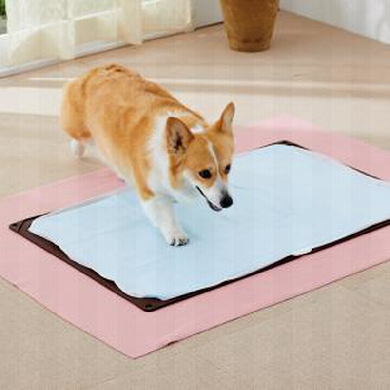 ハリオ Hario ワンマット 薄型トイレマット 専用メッシュワイド 犬用トイレ 通販 Lineポイント最大7 0 Get Lineショッピング