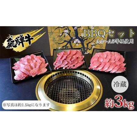 ふるさと納税 飛騨牛　BBQセット　約3kg　A4〜A5等級使用 岐阜県安八町