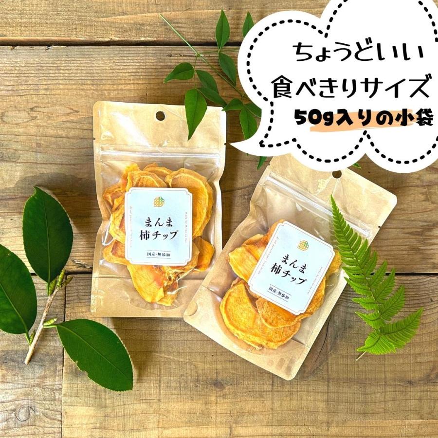 まんま柿チップ 500g(50g×10袋) 保存料不使用 ドライフルーツ 和歌山県産