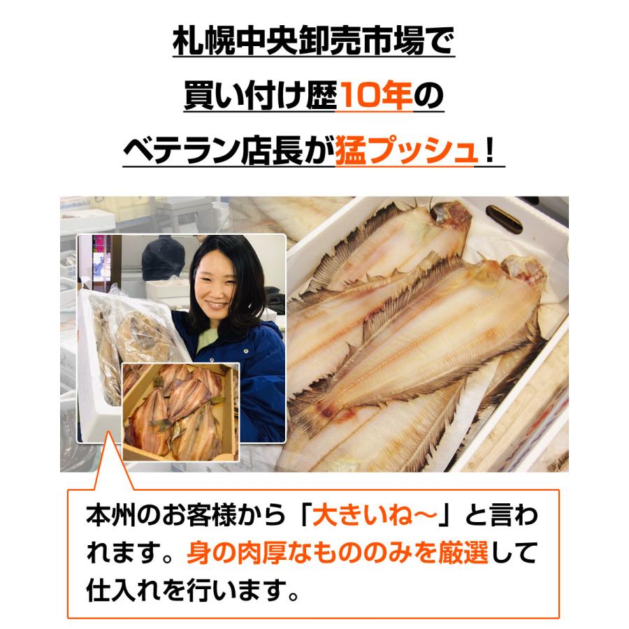 しまホッケ 8枚セット 1尾600ｇ前後 送料0円 縞ホッケ開き 特大 開き魚 しまホッケ開き ホッケ 干物 簡単おかず 乾物 お正月 お歳暮