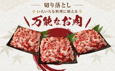 福岡県産 博多和牛 切り落とし 合計1200g 400g×3パック 和牛 牛肉