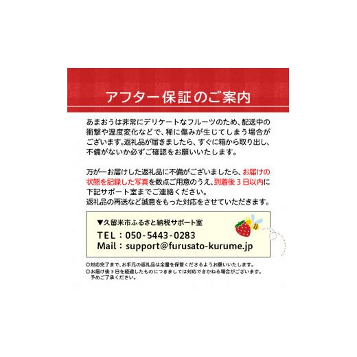 ふるさと納税 福岡県 久留米市 エコファーマー　あまおう（2023年12月〜順次発送）300ｇ×4パック