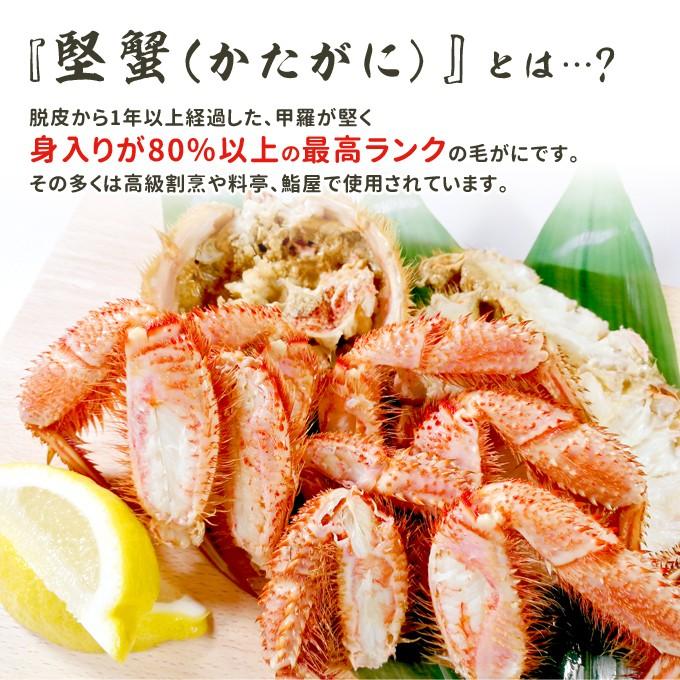 毛がに 特大 約500g 2杯 ボイル 毛ガニ 北海道 国産 送料無料 1kg