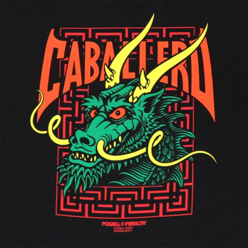 POWELL PERALTA T-SHIRT パウエルペラルタ Tシャツ CABALLERO STREET