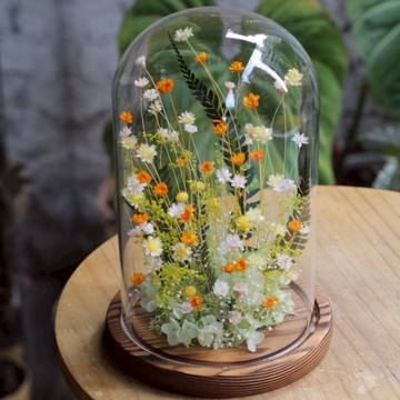 願你走在花路上！【Bloom & Grace 永生花禮花藝店】小花園永生小雛菊玻璃花盅 永生花 送禮 節日送禮 禮物 《全台寄送》