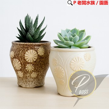 P老闆園藝~陶瓷盆 花盆 盆栽 植栽 多肉植物 室內培栽 陶瓷花器 質感花器