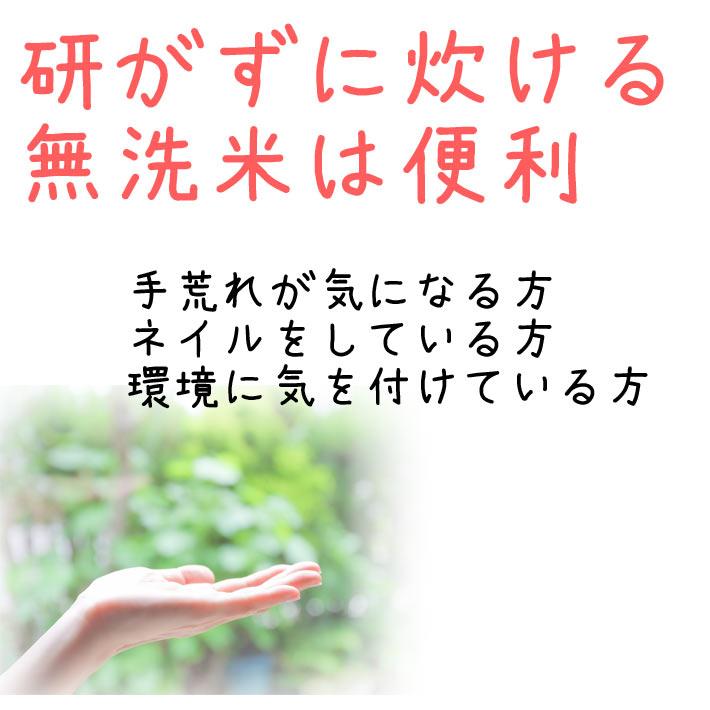 10月下旬から発送開始予定 令和5年 米 10kg お米 長期備蓄 約5年 無洗米 はえぬき 夢味米 10kg 2kgx5袋 冬眠密着包装 真空パック 送料無料 山形県産 東北食糧