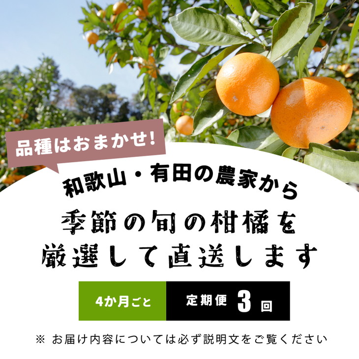 厳選・和歌山の季節の柑橘3kg農家直送フルーツ定期便 ※北海道・沖縄・離島への配送不可