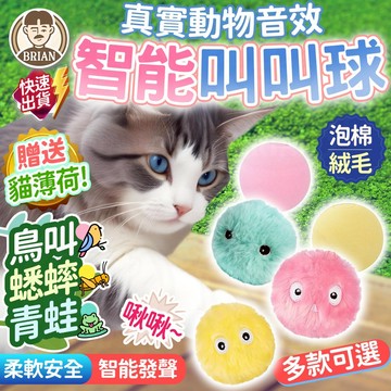 逗貓叫叫球【布萊恩👨🏻隔日到貨】電動貓玩具 貓咪玩具球 貓玩具 寵物玩具  貓電動球 滾滾球 寵物智能電動球 自動貓玩具